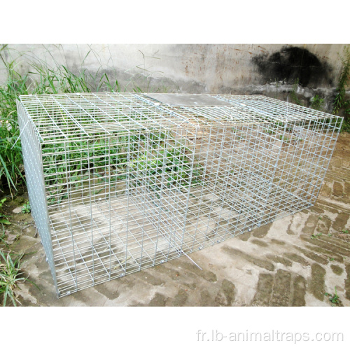 Qualité Live Animal Humane Trap Cage Catch